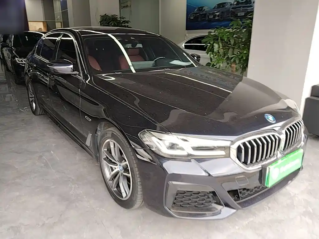 BMW 5 Series New Energy 2022