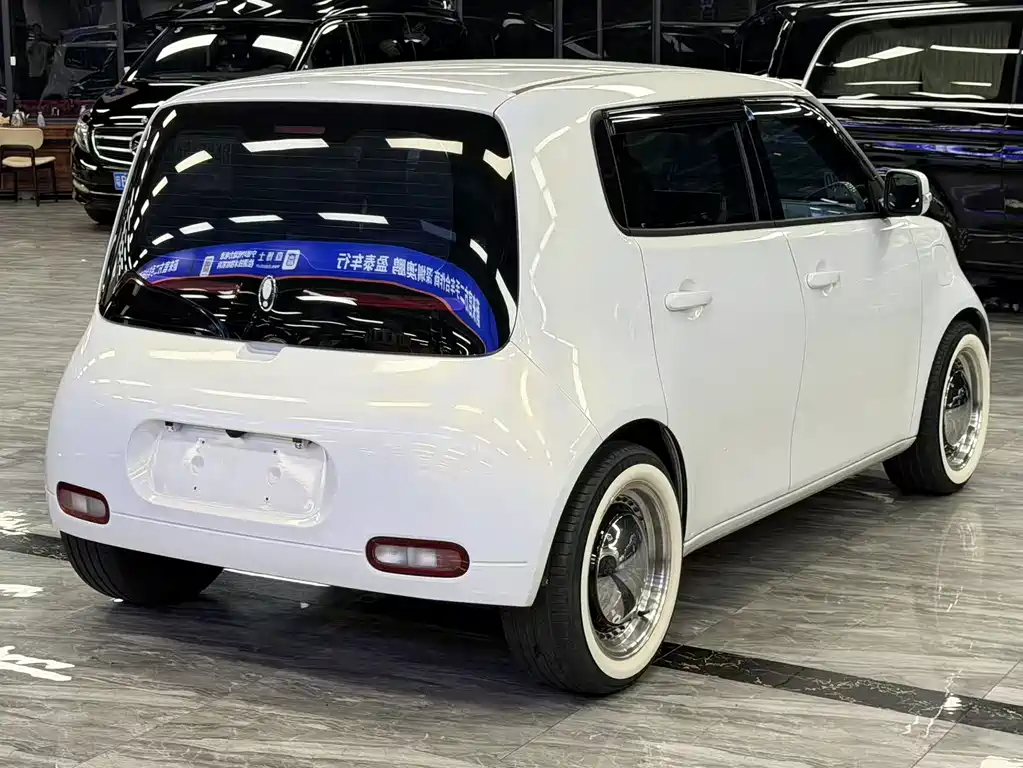 Ora White Cat 2022