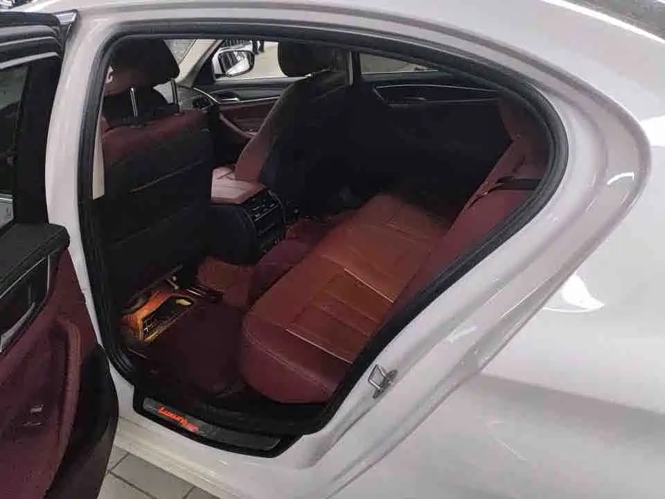 BMW 5 Series New Energy 2021