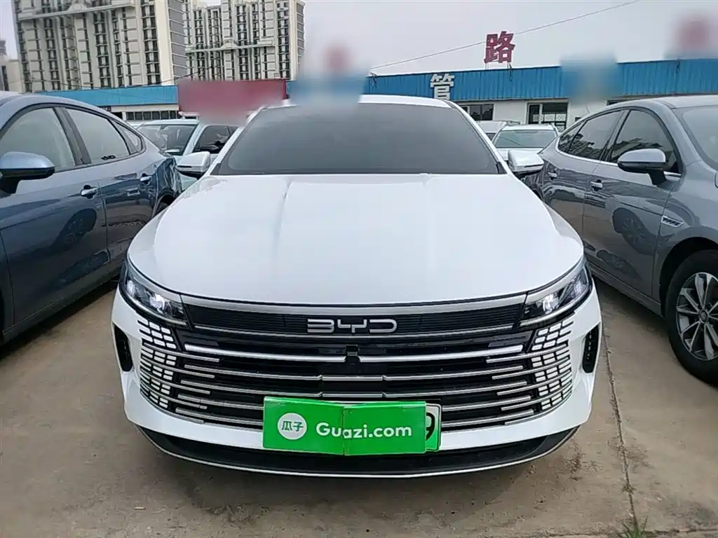 BYD Destroyer 05 2024 — фото 3