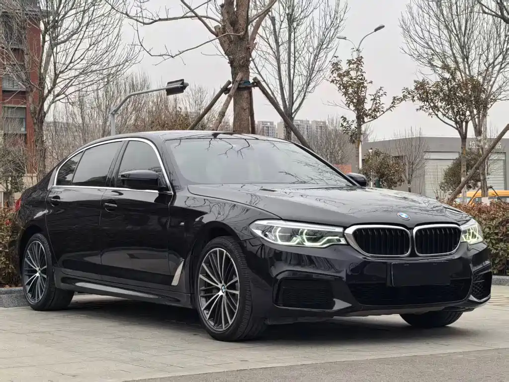 BMW 5 Series 2019