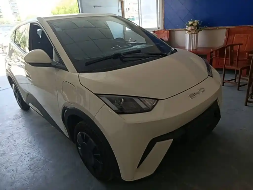 BYD Seagull 2024