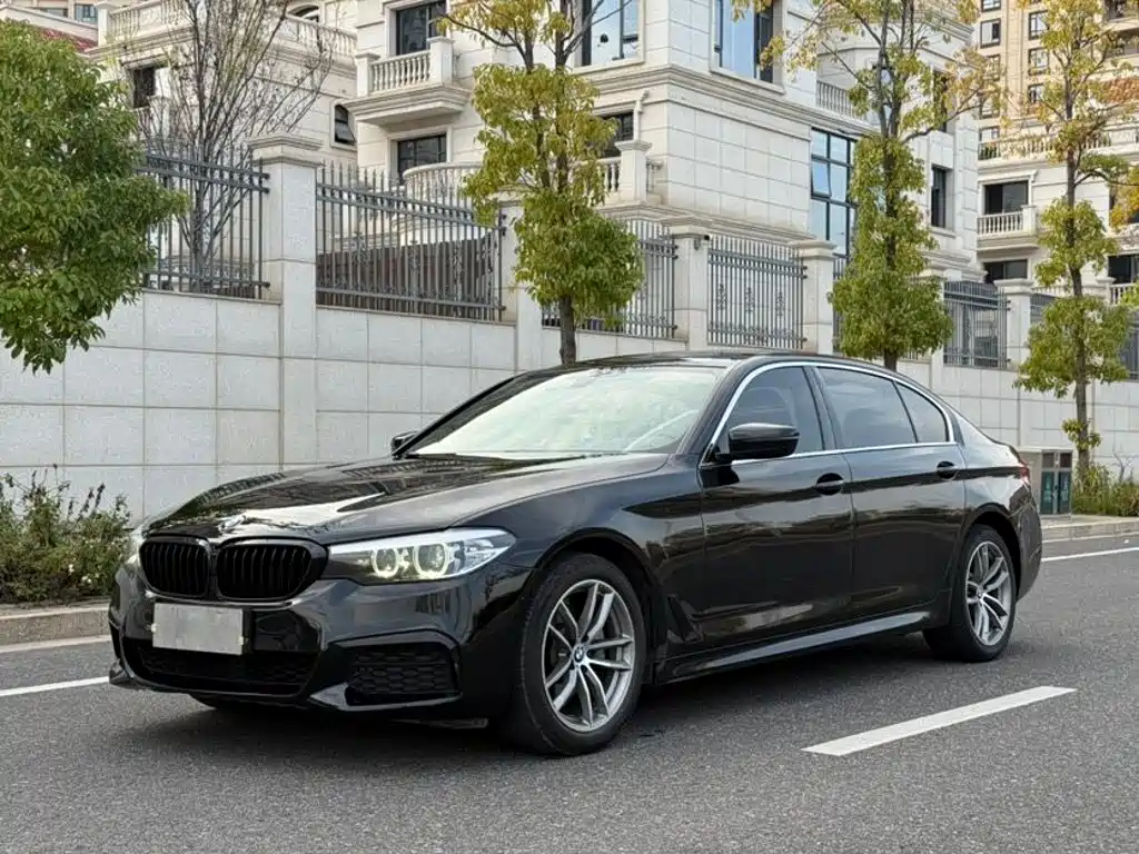 BMW 5 Series 2019