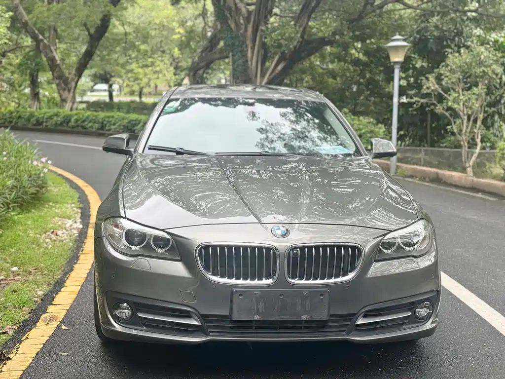 BMW 5 Series 2014