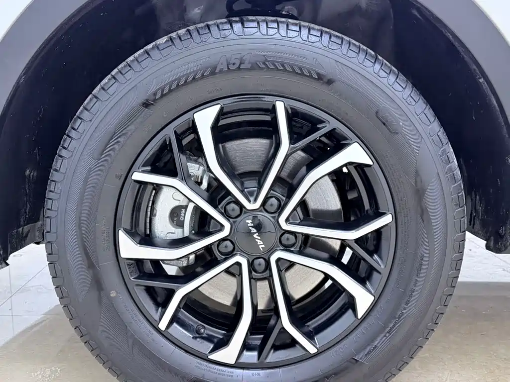 Haval H6 2023 — фото 25