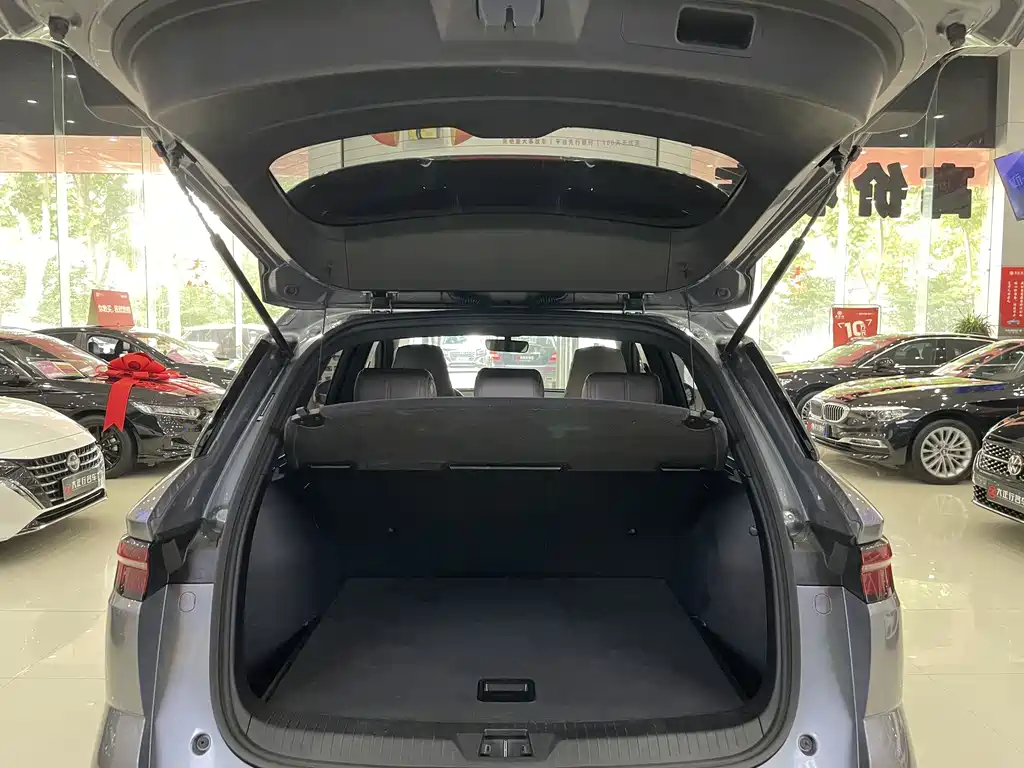 BYD Pro New Energy 2024 — фото 12