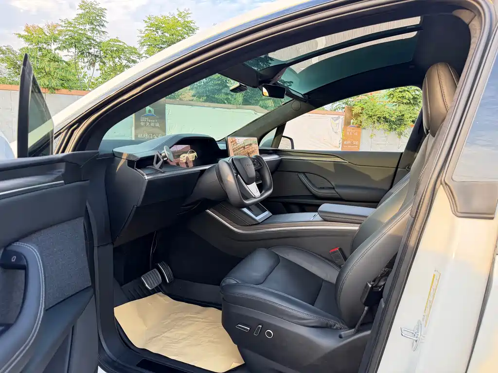 Tesla Model X 2023 — фото 18