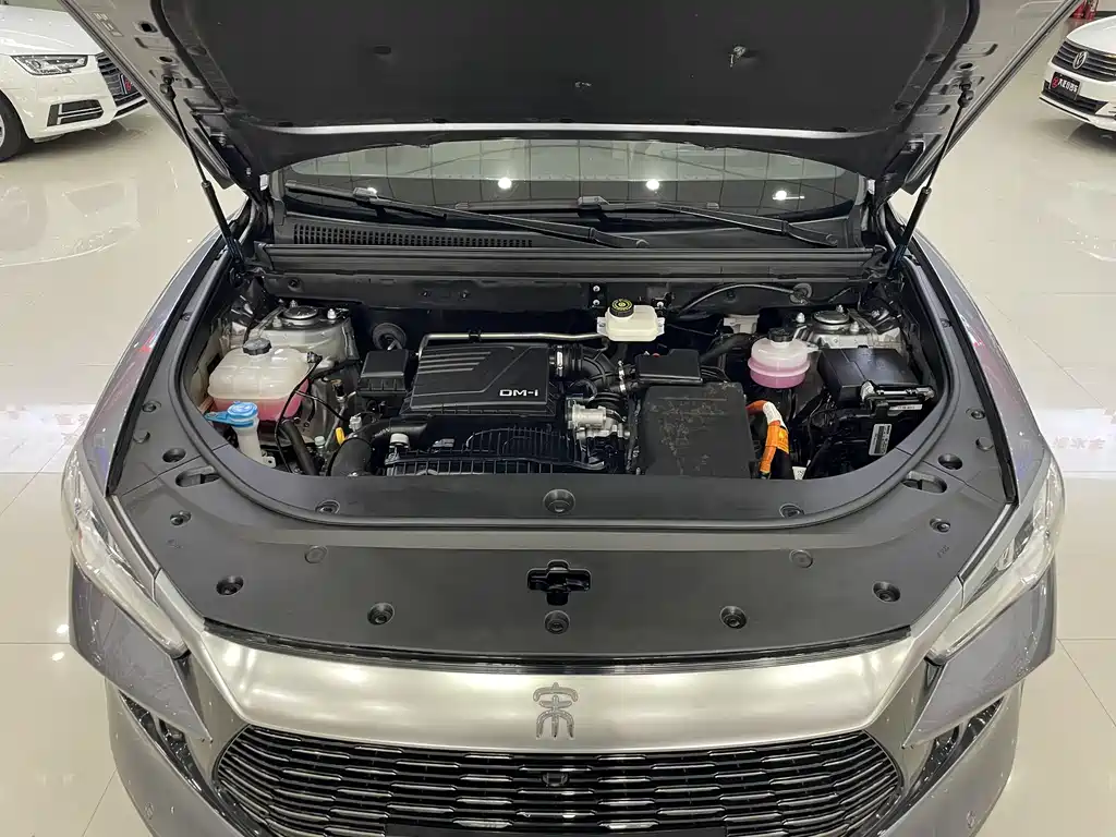 BYD Pro New Energy 2024 — фото 11