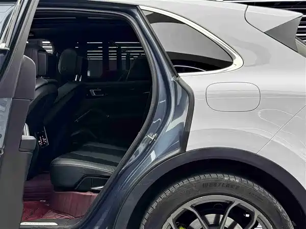 Porsche Cayenne New Energy 2019