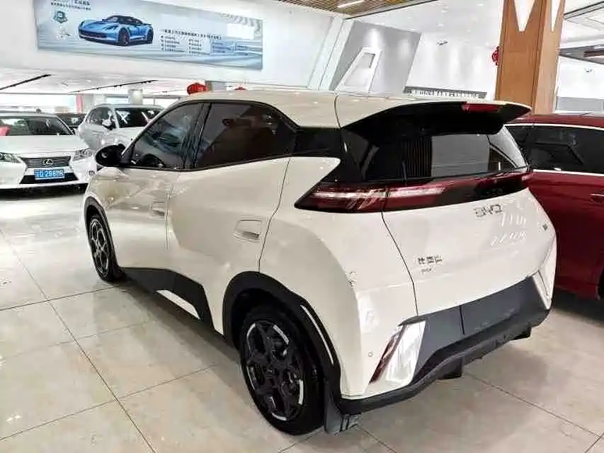 BYD Seagull 2024