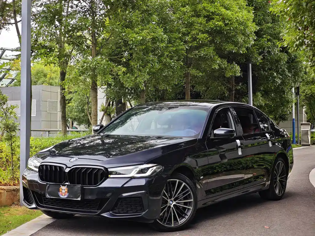 BMW 5 Series 2021