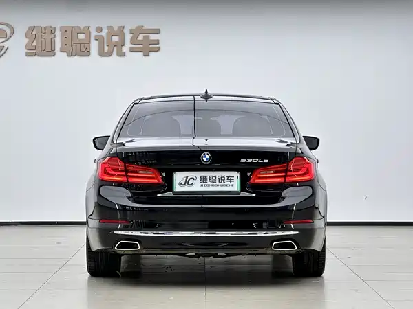 BMW 5 Series New Energy 2020