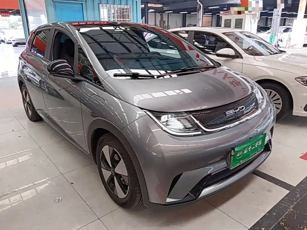 BYD Dolphin 2023