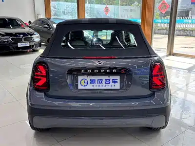 MINI MINI 2025