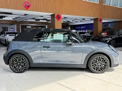 MINI MINI 2025