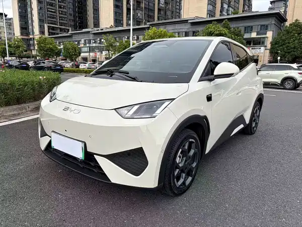 BYD Seagull 2025