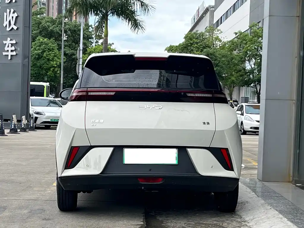 BYD Seagull 2026