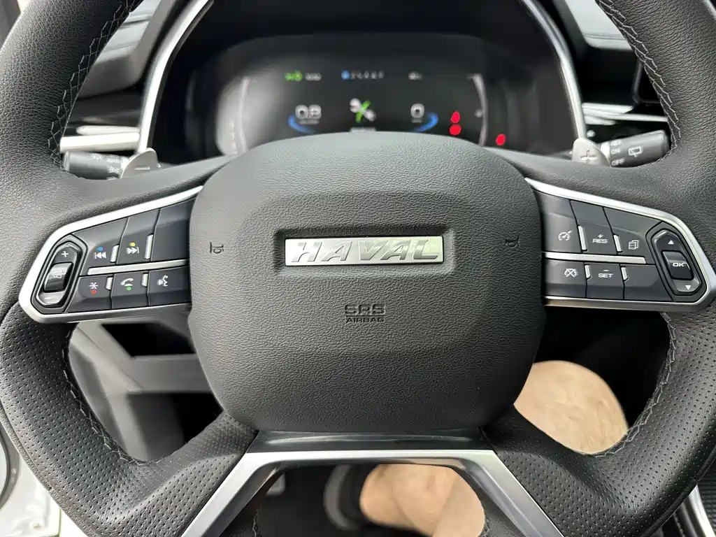 Haval H6 2023 — фото 15