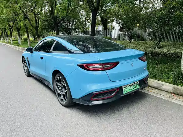 Neta GT 2024