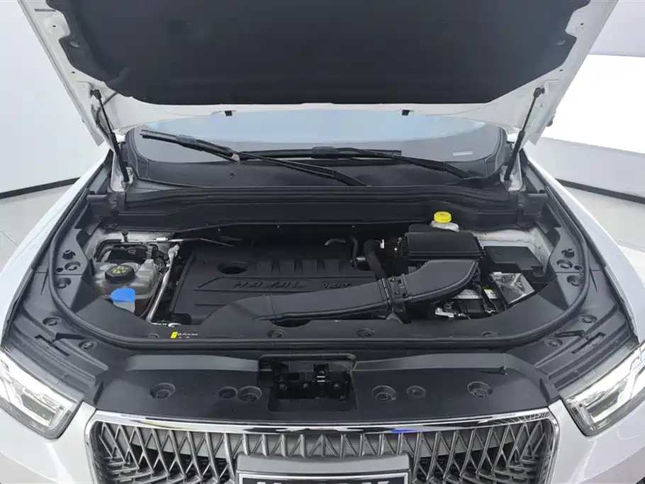 Haval H6 2021 — фото 10