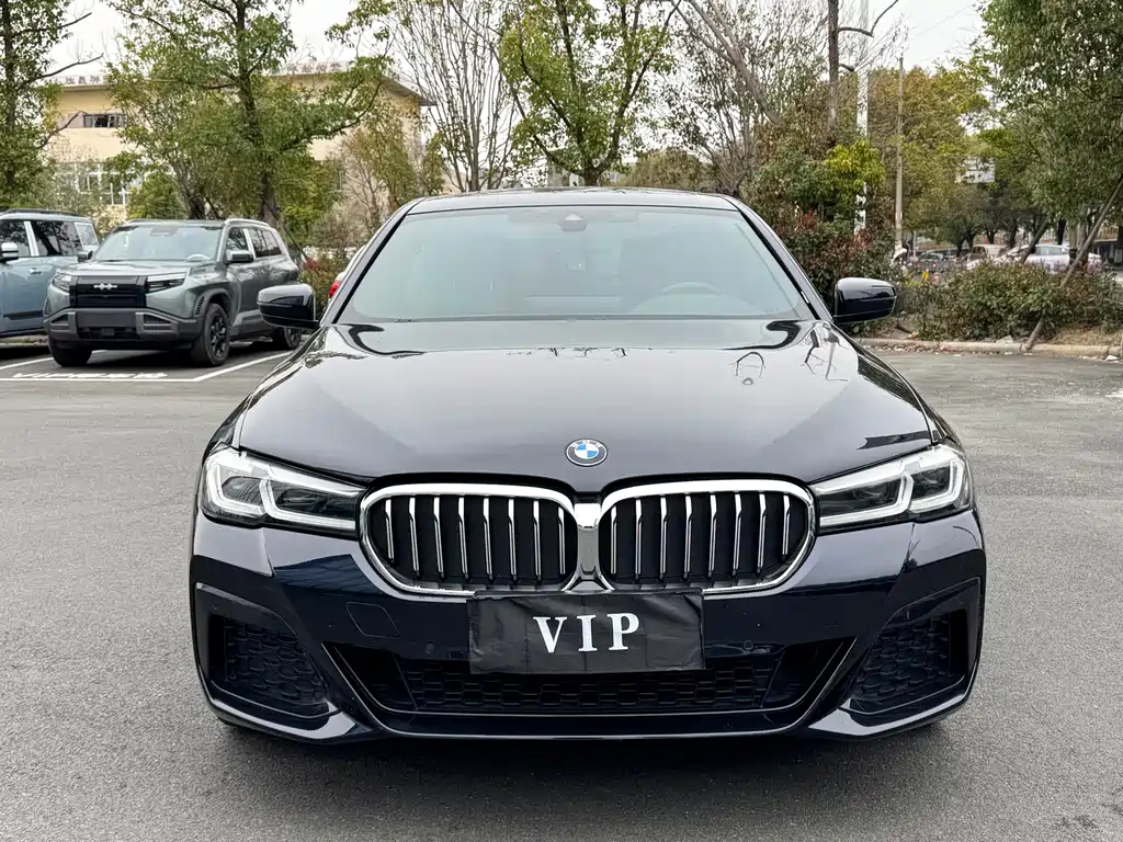 BMW 5 Series 2020