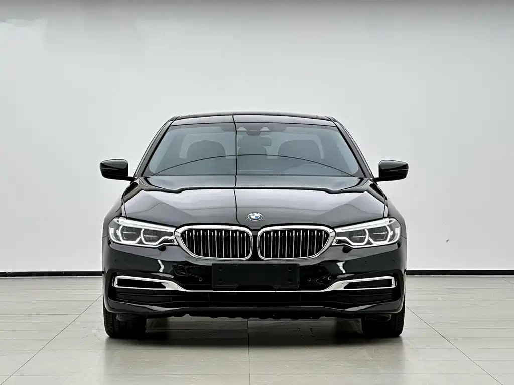 BMW 5 Series New Energy 2019