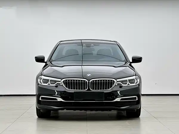 BMW 5 Series New Energy 2019