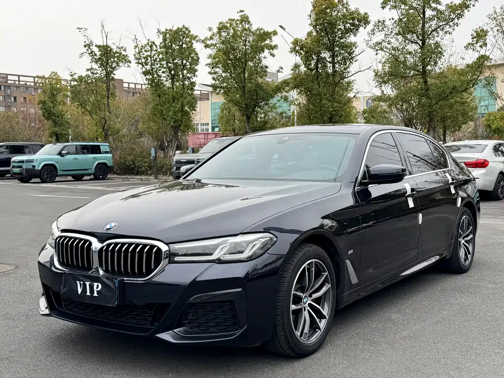 BMW 5 Series 2020