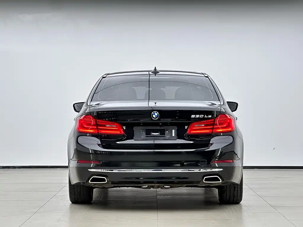 BMW 5 Series New Energy 2019