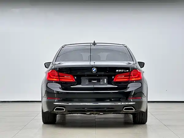 BMW 5 Series New Energy 2019