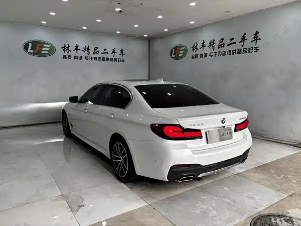 BMW 5 Series New Energy 2022