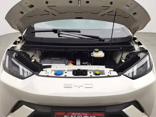 BYD Seagull 2023