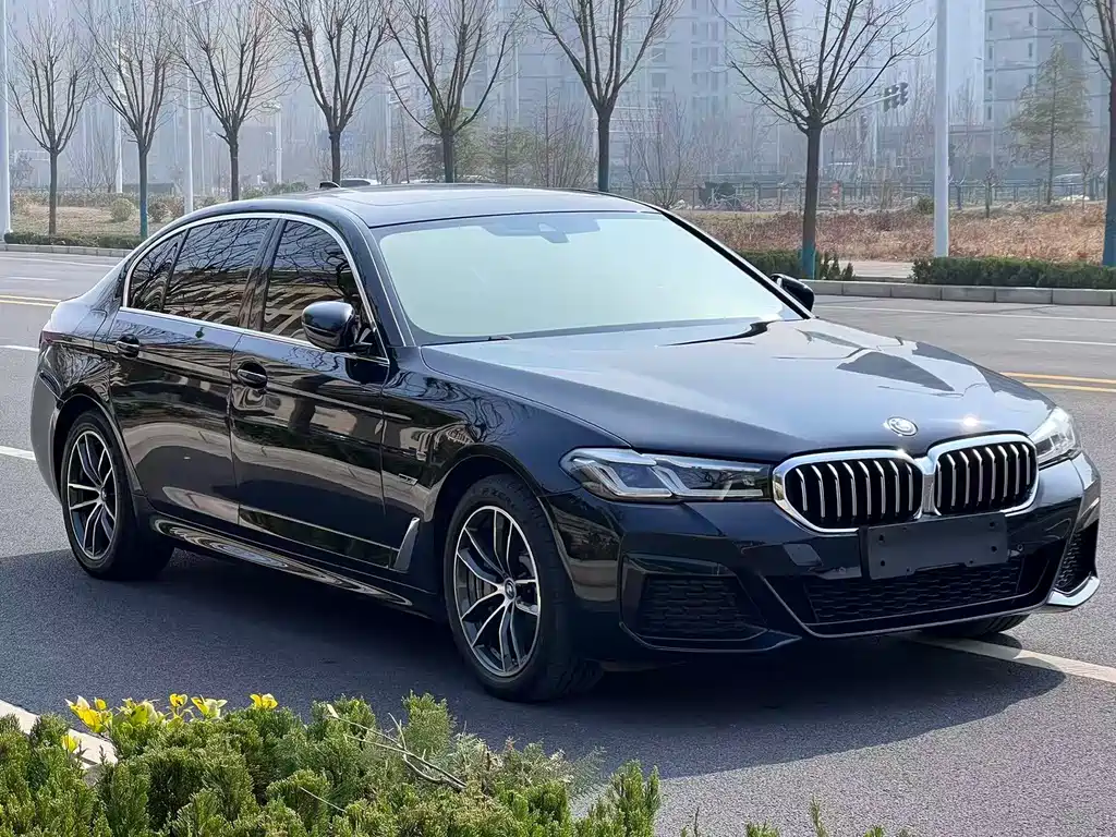 BMW 5 Series New Energy 2022 — фото 6