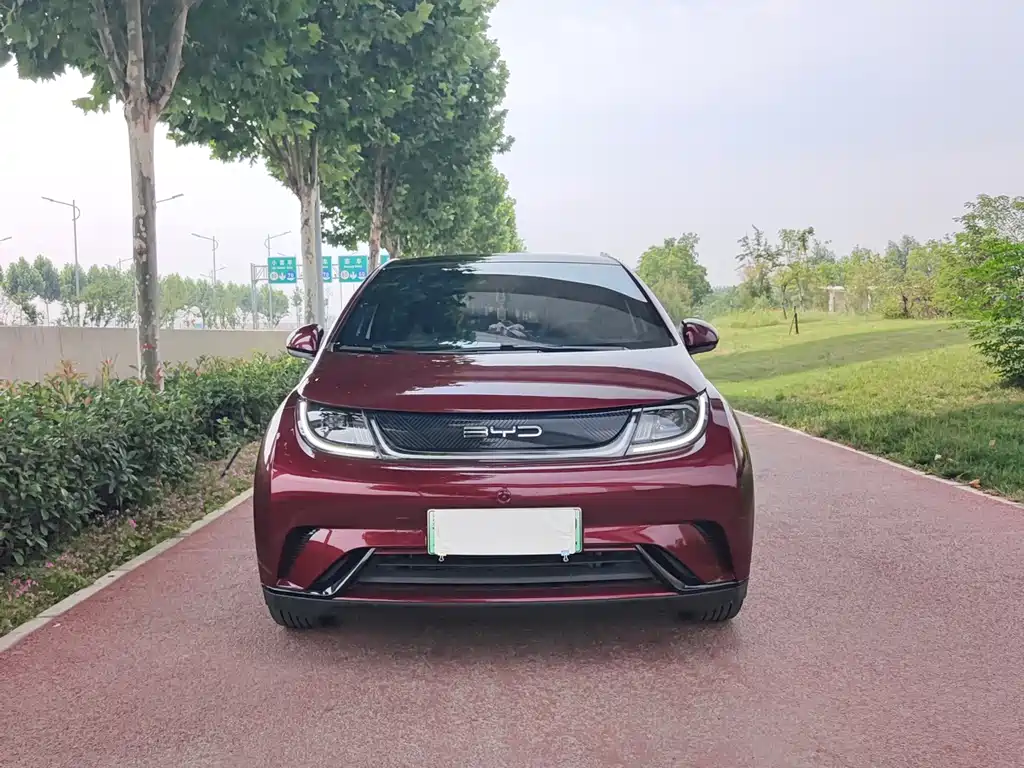 BYD Dolphin 2022
