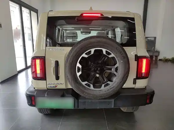 Tank 300 New Energy 2025