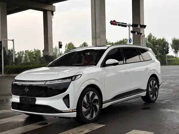 Dongfeng e008 2024