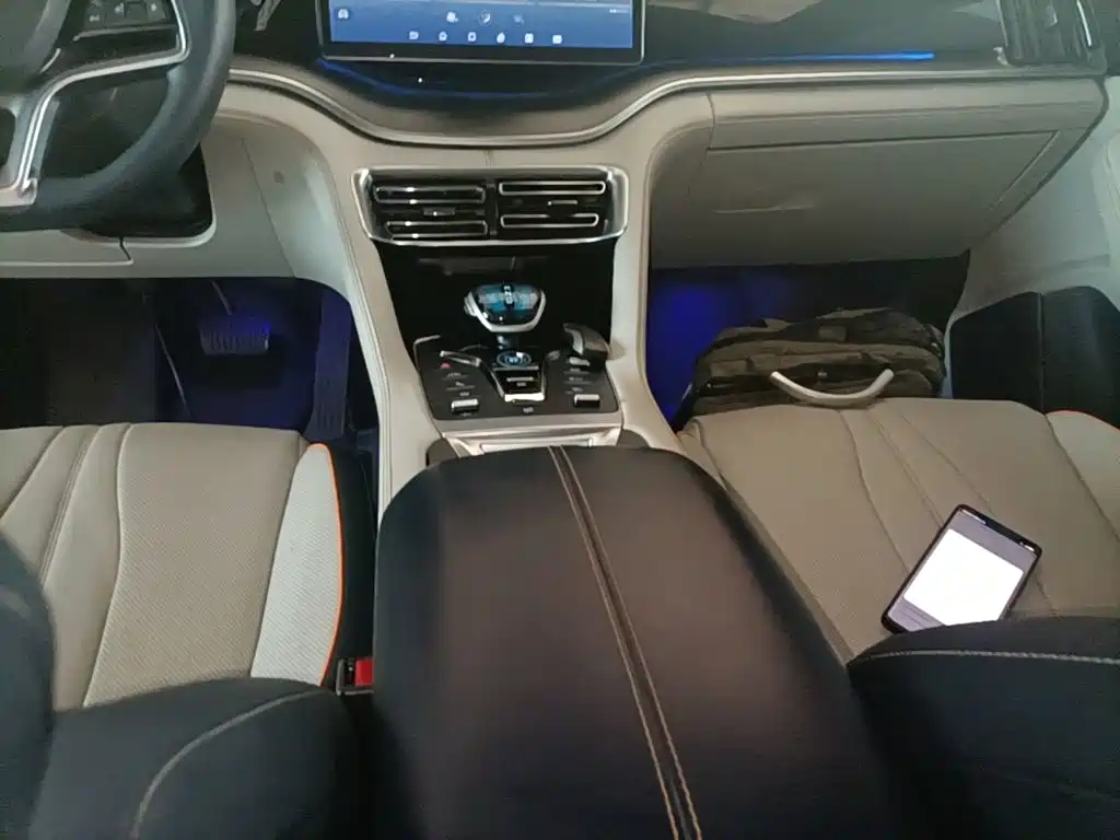 BYD Song PLUS New Energy 2023 — фото 14