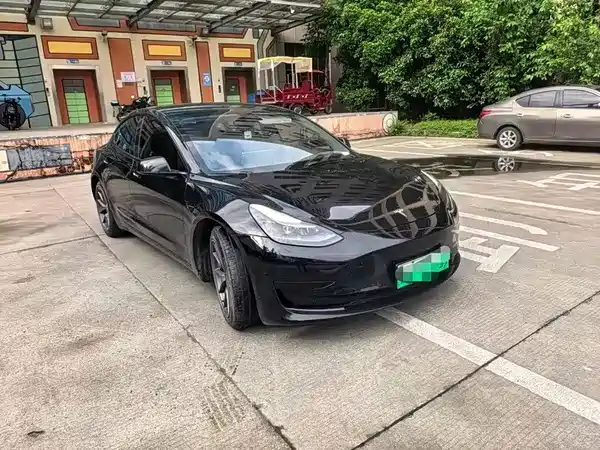 Tesla Model 3 2021
