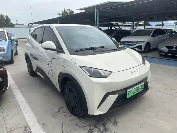 BYD Seagull 2024