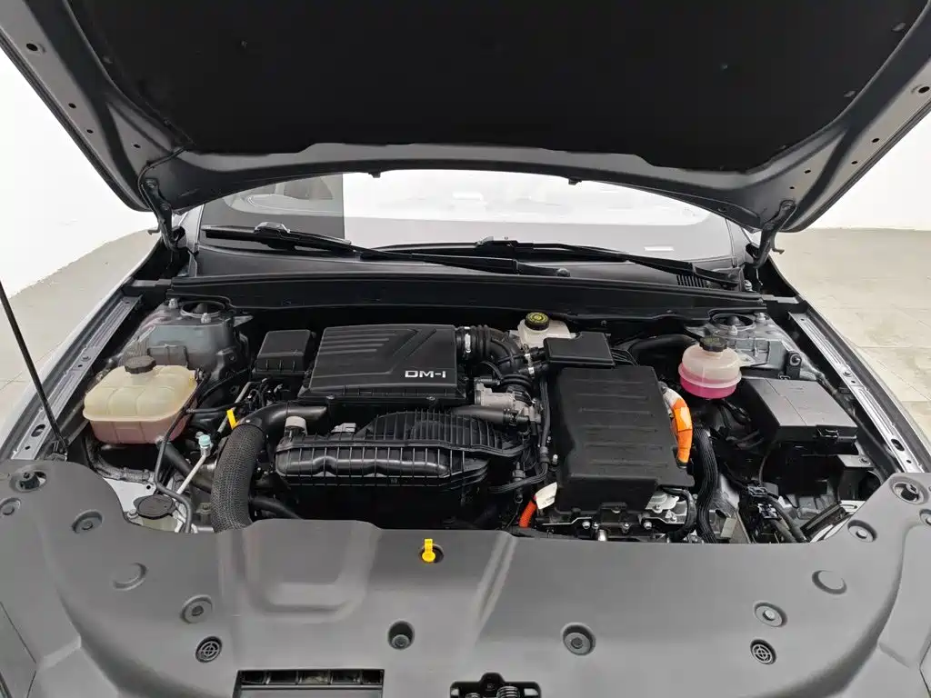 BYD Qin PLUS 2023