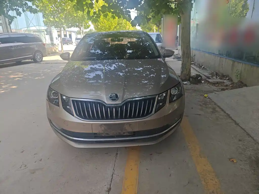 Skoda Octavia 2019 — фото 10