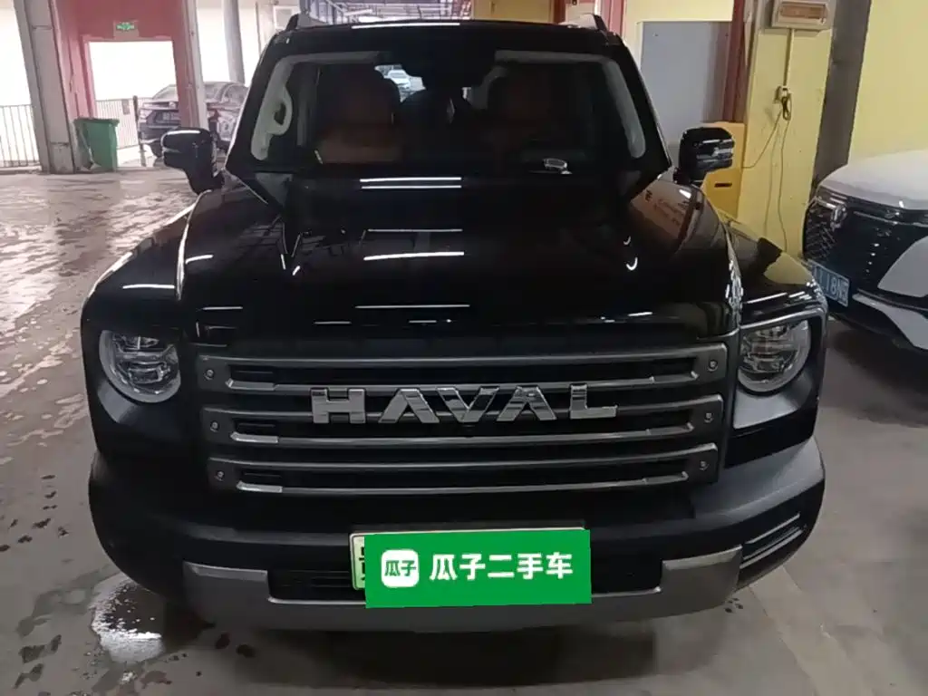 Haval Menglong New Energy 2024