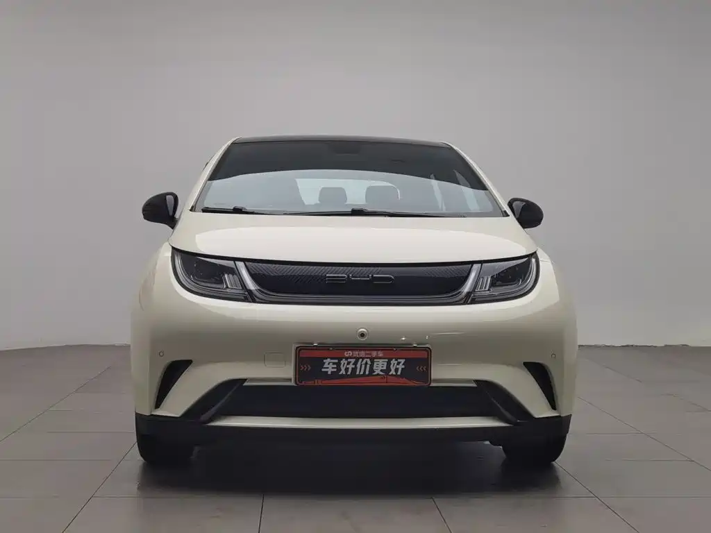 BYD Dolphin 2024