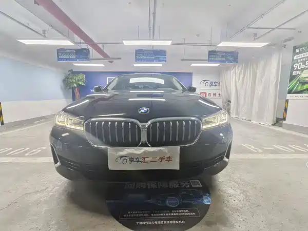 BMW 5 Series New Energy 2021