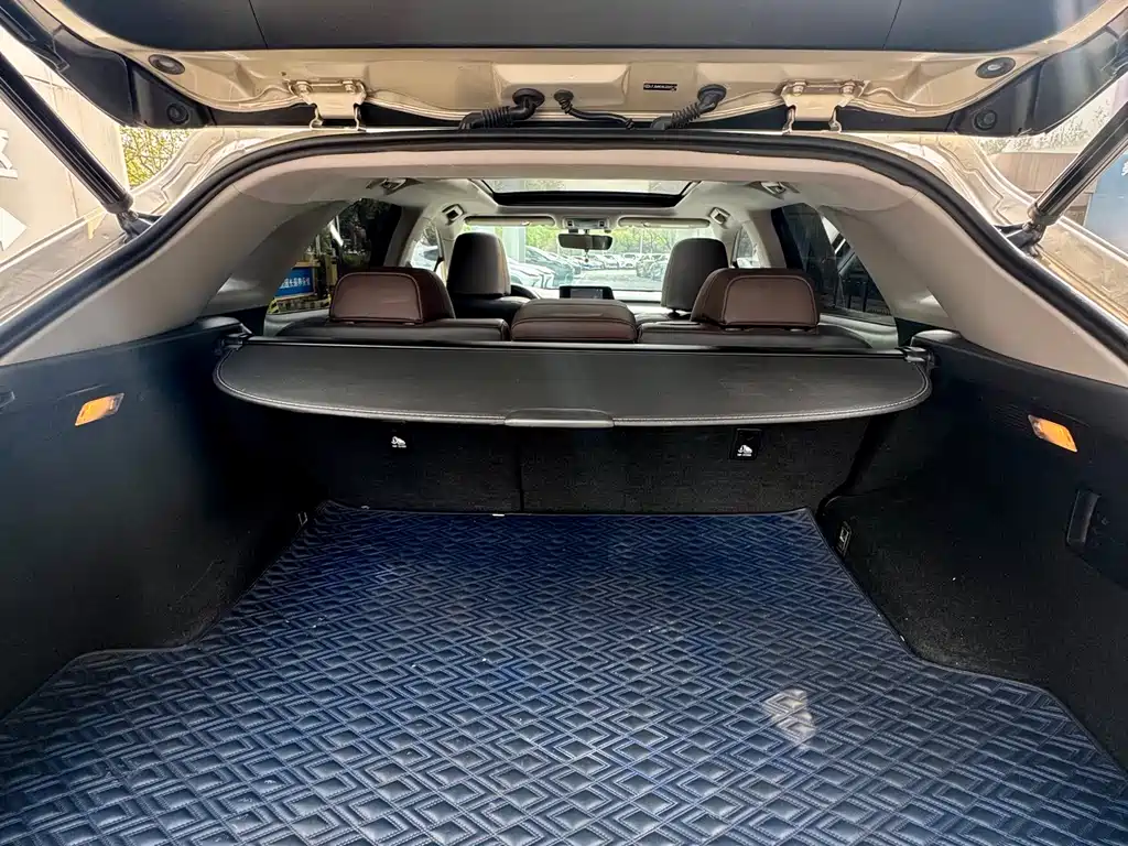 Lexus RX 2019 — фото 11