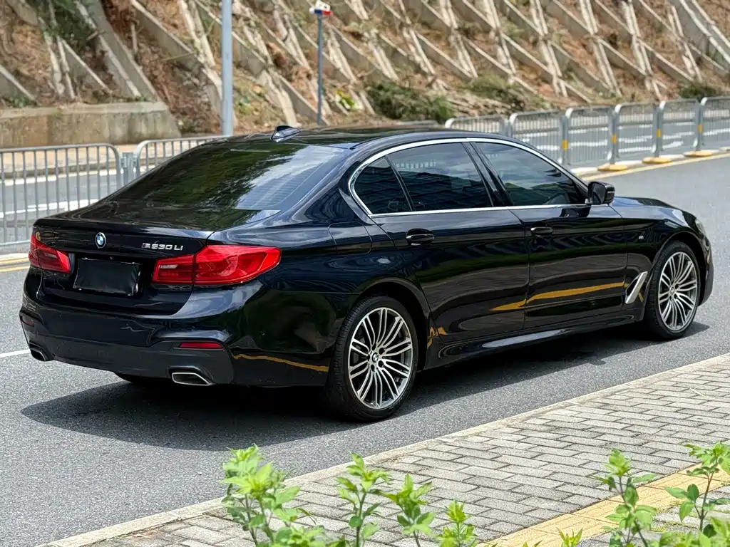 BMW 5 Series 2018 — фото 14