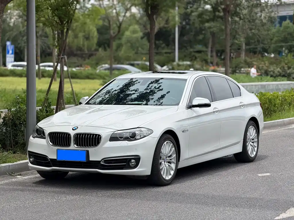 BMW 5 Series 2015