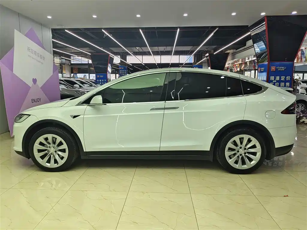 Tesla Model X 2020 — фото 7