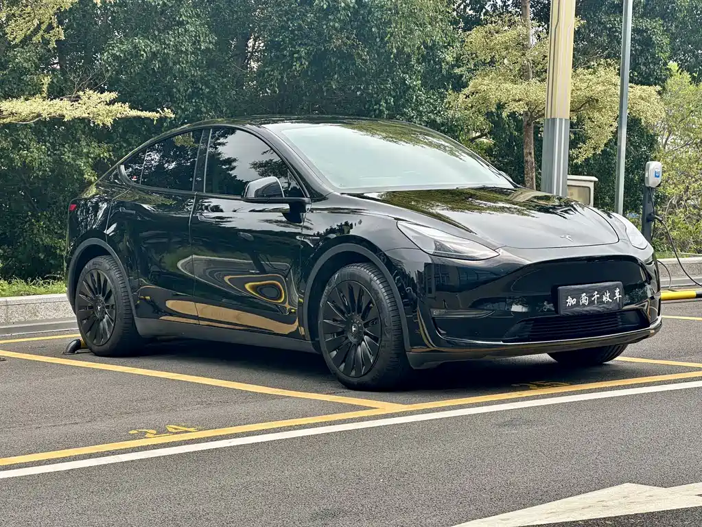 Tesla Model Y 2023 — фото 3