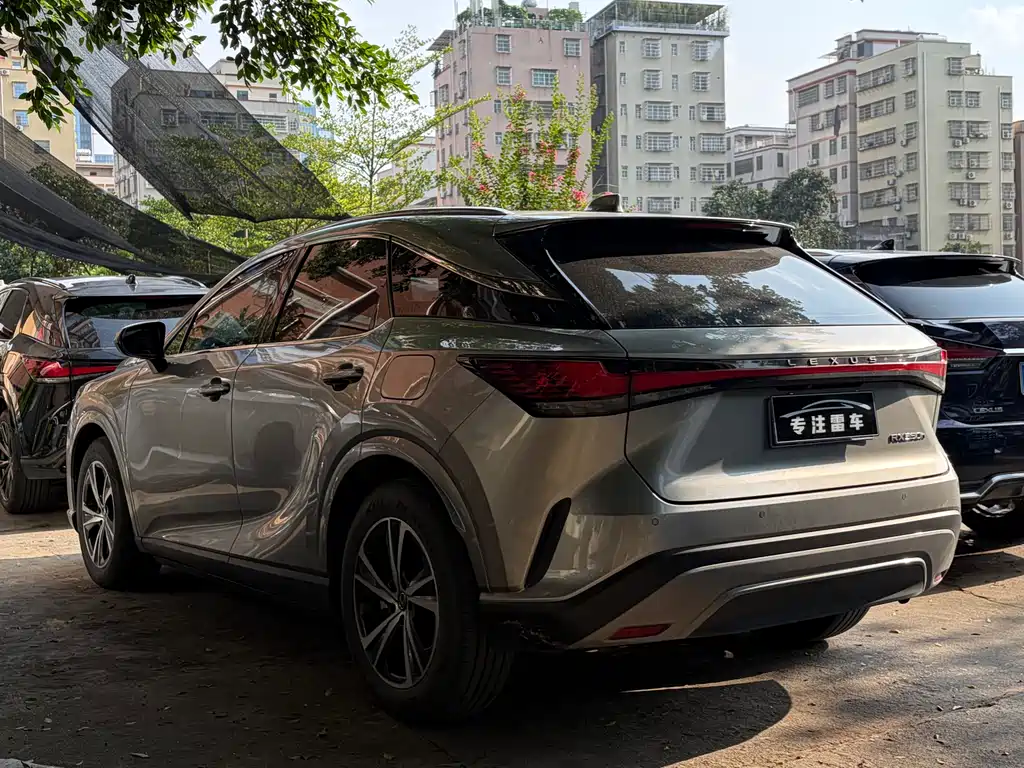 Lexus RX 2023 — фото 10
